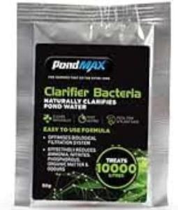 POND CLARIFIER BACTERIA 50GM