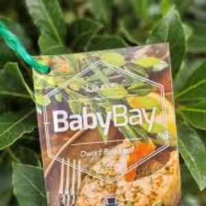 LAURUS BABY BAY 200MM