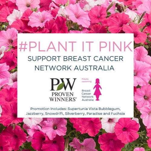 Floral design with 'Plant It Pink' text and Proven Winners logo, supporting Breast Cancer Network Australia.