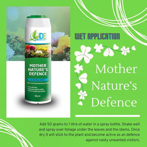 DIATOMACEOUS EARTH 220GR