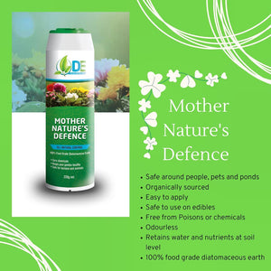 DIATOMACEOUS EARTH 220GR