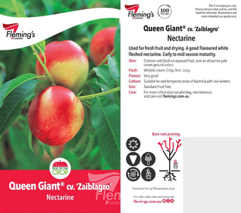 Fleming's Queen Giant cv. 'Zaibragio' Nectarine nectarine plant care and growing guide card, featuring a large photo of ripe red nectarines on the left and planting and care instructions on the right.