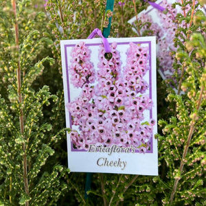 Card with pink flowers and text 'Erinaceflora's Cheeky' hanging among green plants.