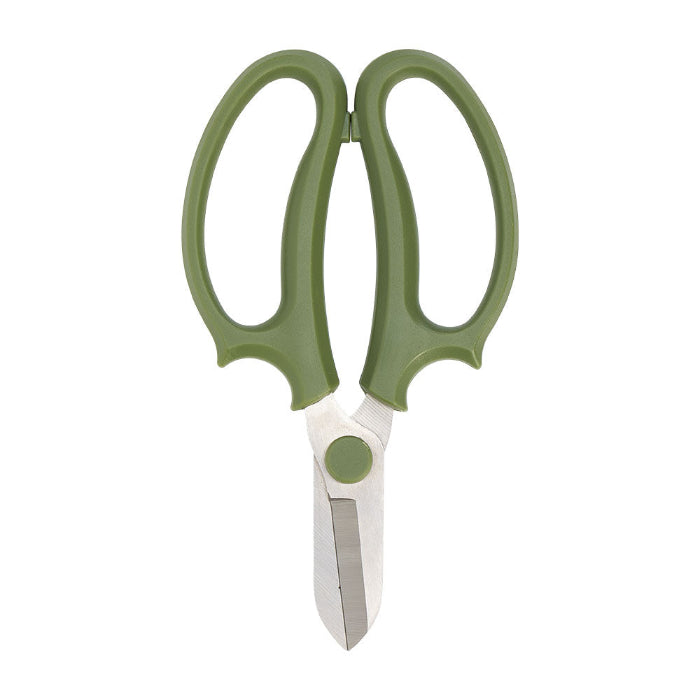 Green kitchen shears on a white background