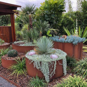 FormBoss Garden Rings