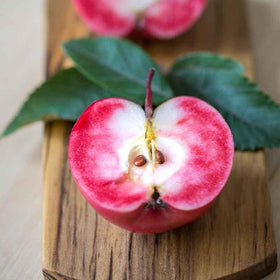 Fruit Trees Category