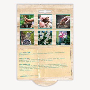 Gardening product packaging with images of hands and plants on a wooden background