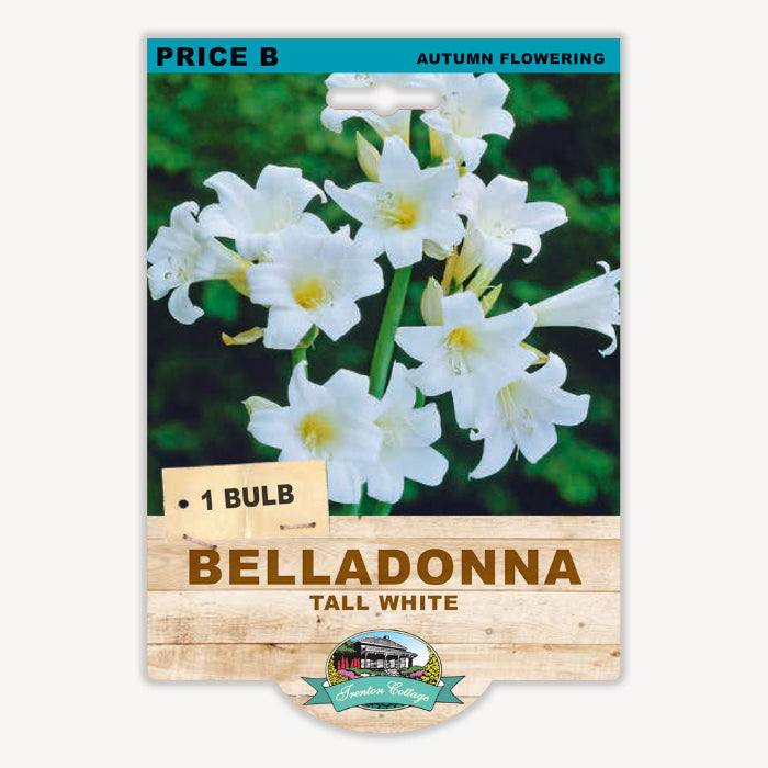 Belladonna tall white flower bulb packaging with floral imagery