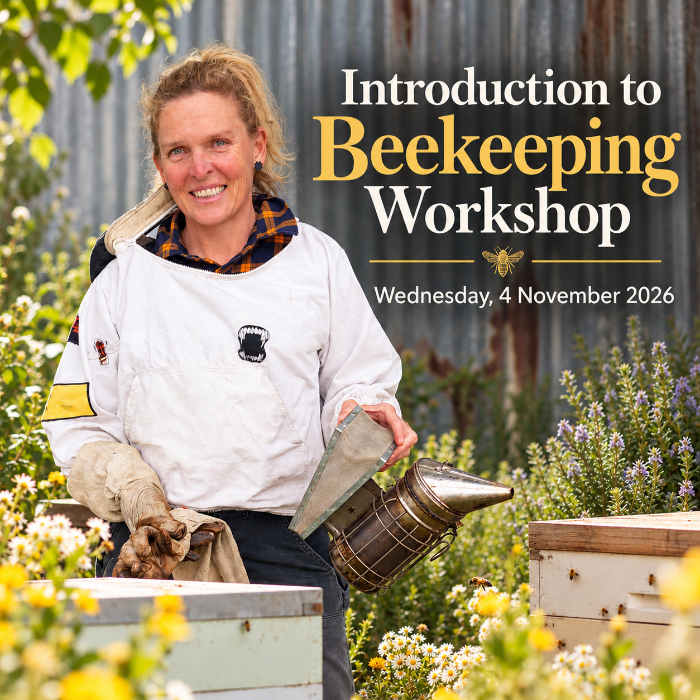 beekeeping workshop advertisement