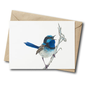 blue wren greeting card