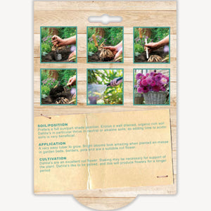 Gardening product packaging with images of hands gardening and text on a wooden background