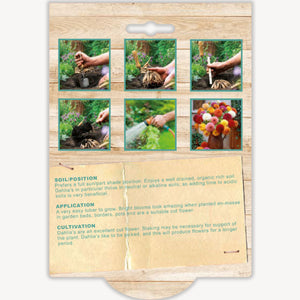 Gardening instruction card with images and text on a wooden background