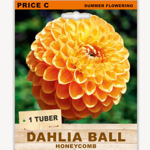 Dahlia Ball Honeycomb seed packet with a large orange flower on a white background