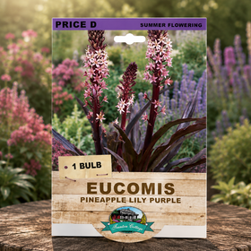 A seed packet for 'Price D' Eucomis Pineapple Lily Purple summer flowering bulbs, displayed on a rustic wooden surface with a blurred garden background of pink and purple flowers.