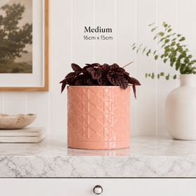 Pink textured planter with a plant on a marble surface, framed picture in the background