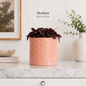 Pink textured planter with a plant on a marble surface, framed picture in the background