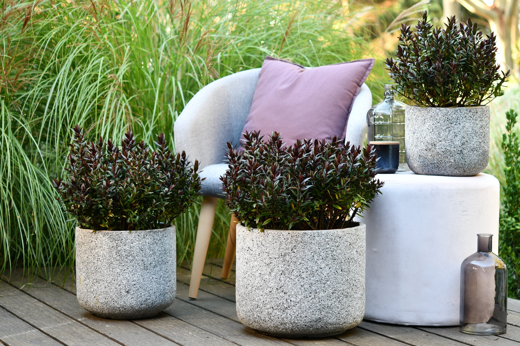 HEBE STRAWBERRY / RASPBERRY TRUFFLE 140MM