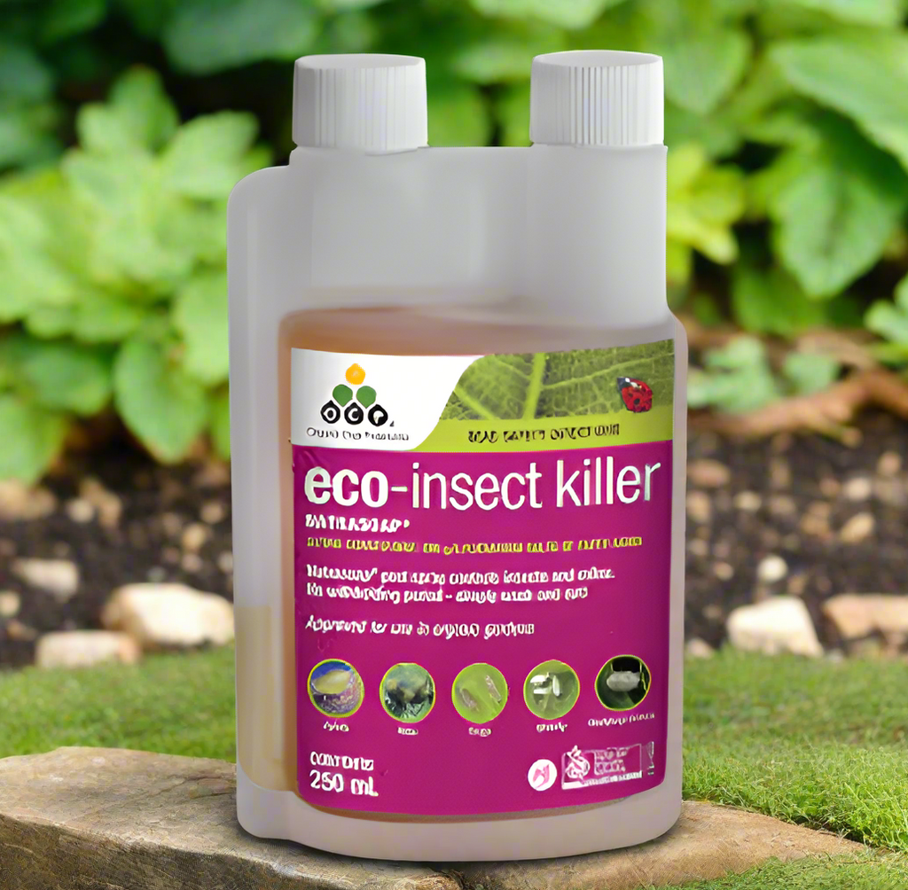 eco-insect killer