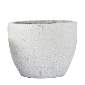 Textured gray pot on a white background