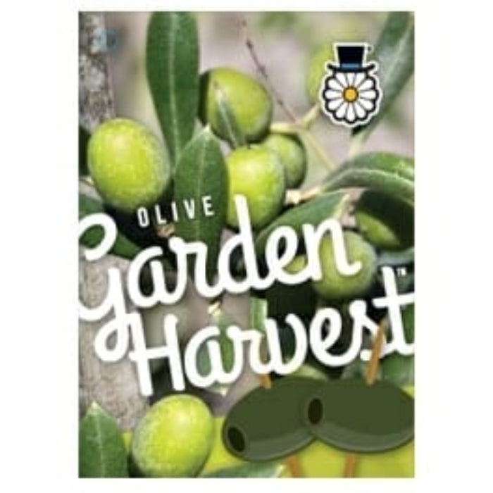 Olive Garden Harvest logo with green olives on a white background