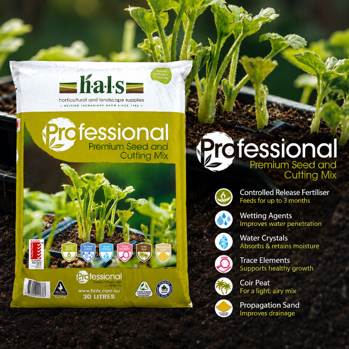 HALS SEED RAISING AND CUTTING MIX
