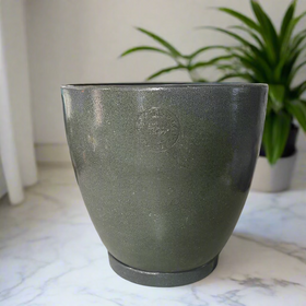 Green pot on a concrete surface with a store interior in the background