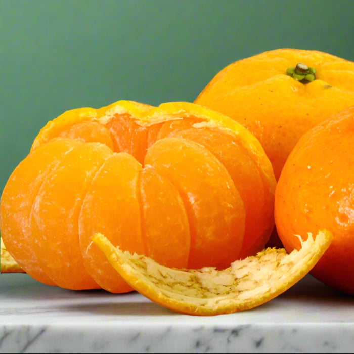 MANDARIN JAPANESE SEEDLESS 165MM