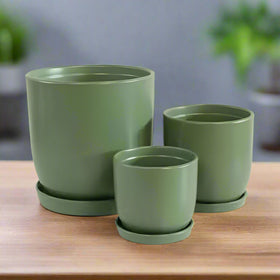 Jessa Egg Pots with saucer Sage