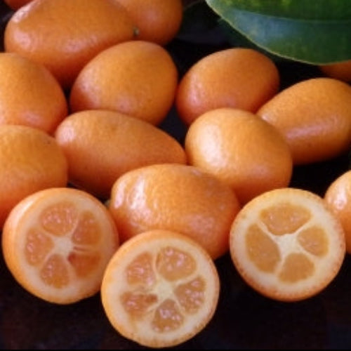 A pile of small orange kumquats on a dark reflective surface, with several cut open to show the segmented fruit inside and green leaves and branches surrounding them. A small Daley's Fruit watermark is visible in the bottom right corner.
