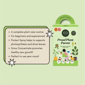 Product packaging with text about plant care routine on a light green background
