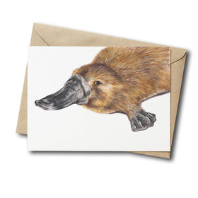 platypus greeting card