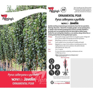 PYRUS JAVELIN 300MM