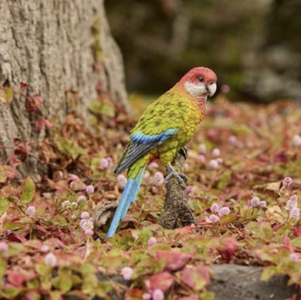 rosella ornament on ground 