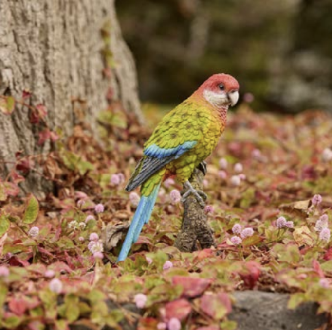 rosella ornament on ground 