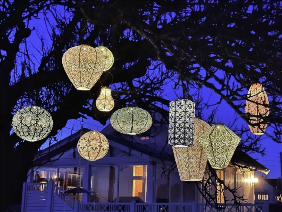 Decorative string lights hanging from tree branches in front of a house at night.