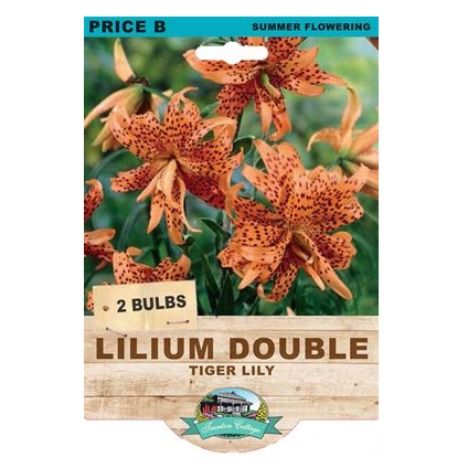 A seed packet for 'Price B' Lilium Double Tiger Lily summer flowering bulbs, showing orange tiger lilies with dark spots on a green background, with a light wood-textured lower section.