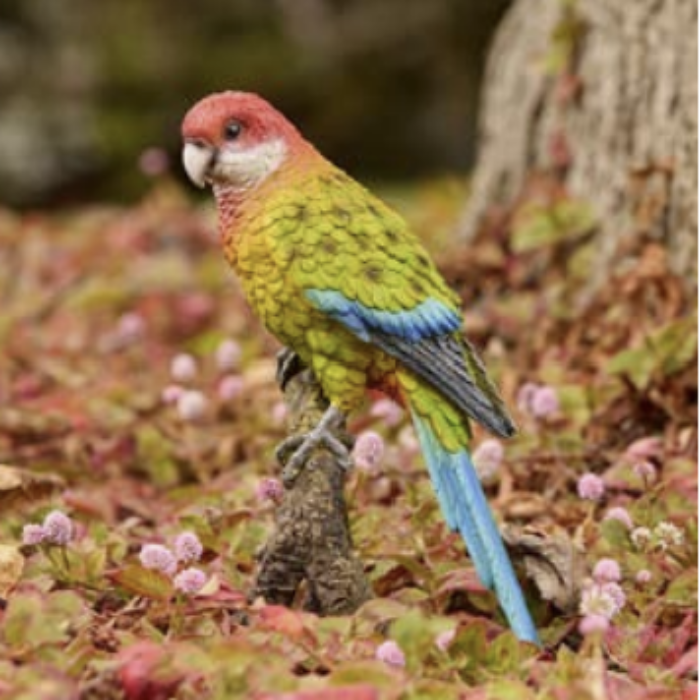 colourful bird decoration sitting on the ground