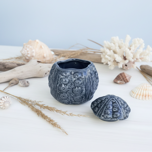 A dark gray glazed ceramic sea urchin planter with a matching lid, styled on a light wood surface with decorative seashells and greenery.