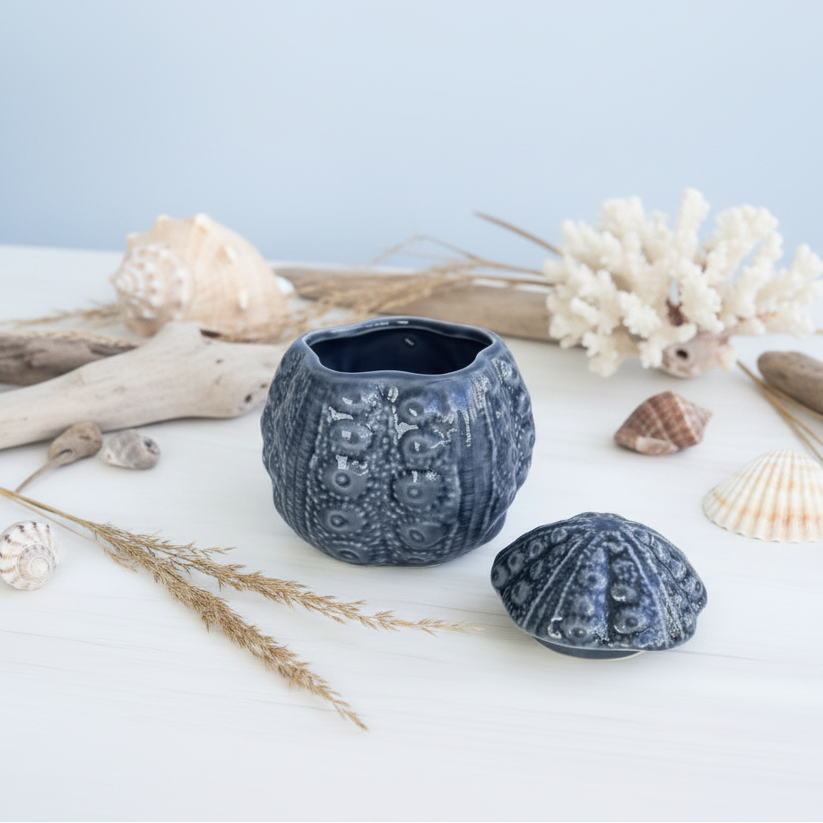 A dark gray glazed ceramic sea urchin planter with a matching lid, styled on a light wood surface with decorative seashells and greenery.