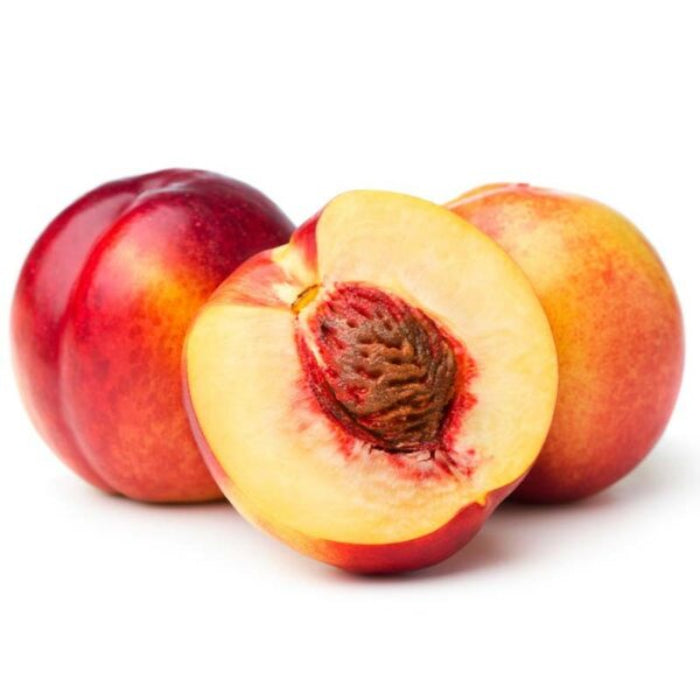 PRE ORDER - NECTARINE TRIXZIE NECTAZEE - Bare Rooted