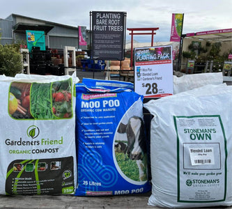 WINTER PLANTING PACK