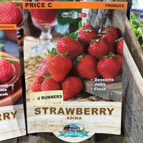 Strawberry seed packet with branding and product details on a wooden surface