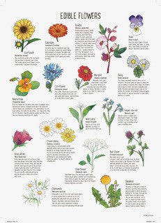 Garden Care - General