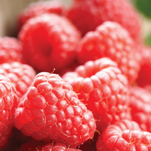 raspberries