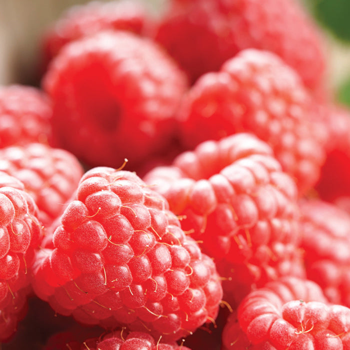 raspberries