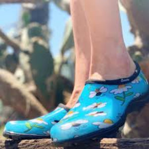 splash shoe 
