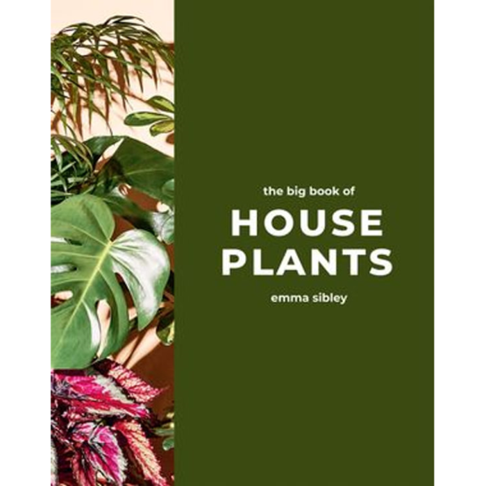 BIG BOOK OF HOUSE PLANTS