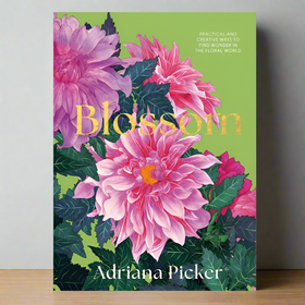 Book cover of 'Blossom' by Adriana Picker with pink flowers on a green background
