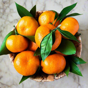 MANDARIN CLEMENTINE 165MM