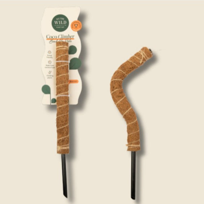 Two coconut climbing toys with packaging on a beige background